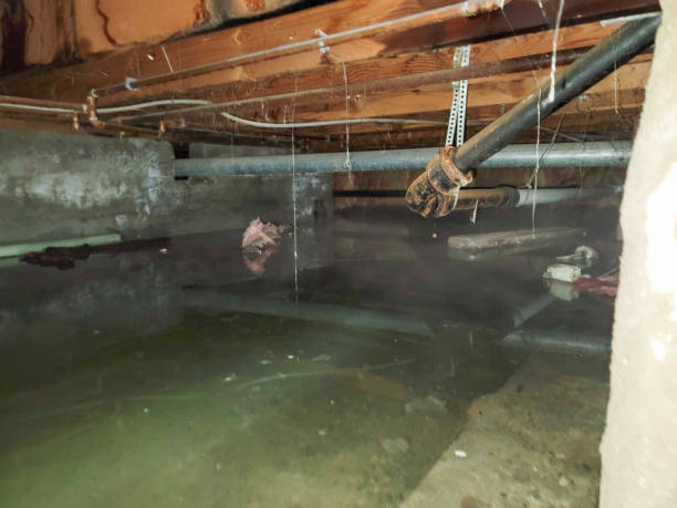 Fire Damage Restoration in CA