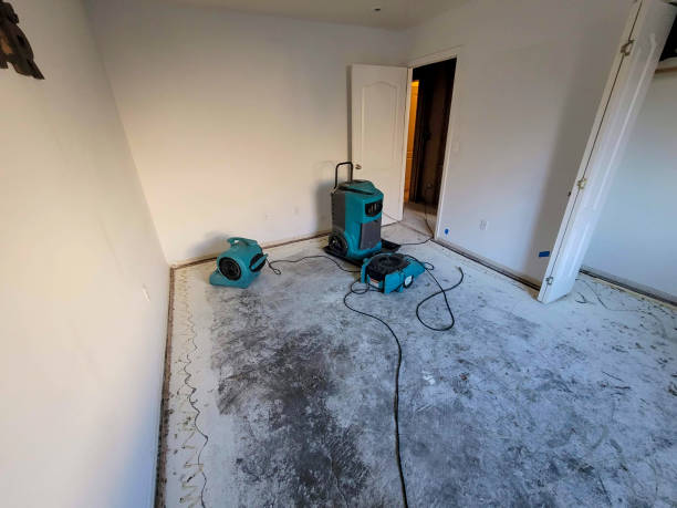 Best 24/7 water damage repair  in Stro Valley, CA