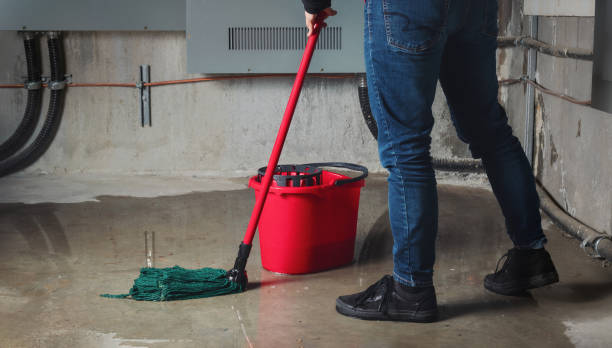  Stro Valley, CA Water damage restoration Pros