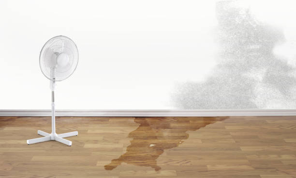 Best 24/7 water damage repair  in Stro Valley, CA
