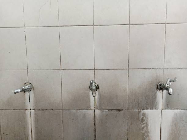 Best Water damage restoration near me  in Stro Valley, CA