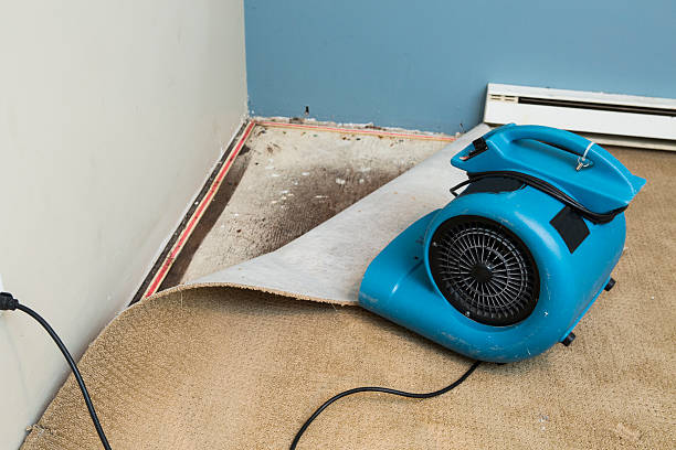 Best Water damage restoration specialists  in Stro Valley, CA